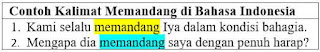 Contoh Kalimat Memandang di Bahasa Indonesia dan Pengertiannya