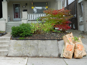 Toronto Beach Hill Fall Cleanup After Paul Jung Gardening Services--a Toronto Organic Gardening Company