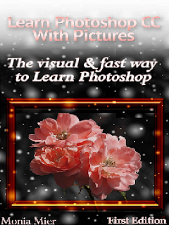 Learn Photoshop CC With Pictures The Visual
