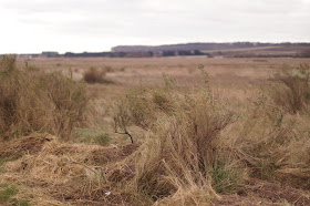 Brancaster beach in February