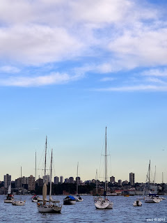 sydney boats