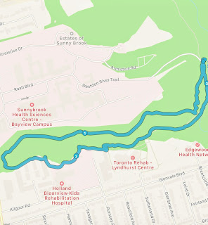 Suggested 3 km loop from the Sunnybrook Park along Burke Brook.