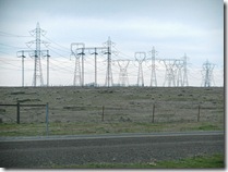 See all the telephone poles