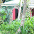 Manuel Canovas in St John USVI