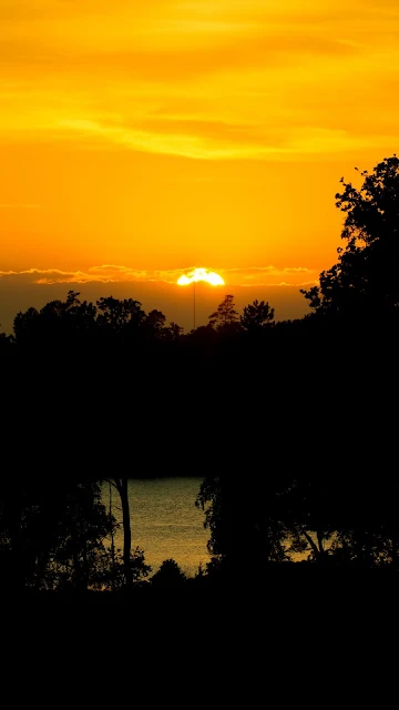 Sunset, Lake, Trees, Silhouettes, Evening