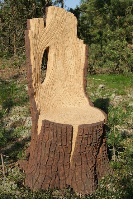 If you are a garden lover and want to try something new, this is for you. Tree Stumps can provide you a great possibility to be creative and do something creative your own. It look wonderful in your garden!