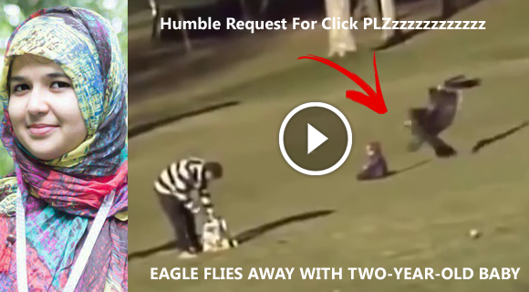  Eagle-Attack-video-and-photos