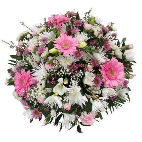 Flowers for Any Occasion