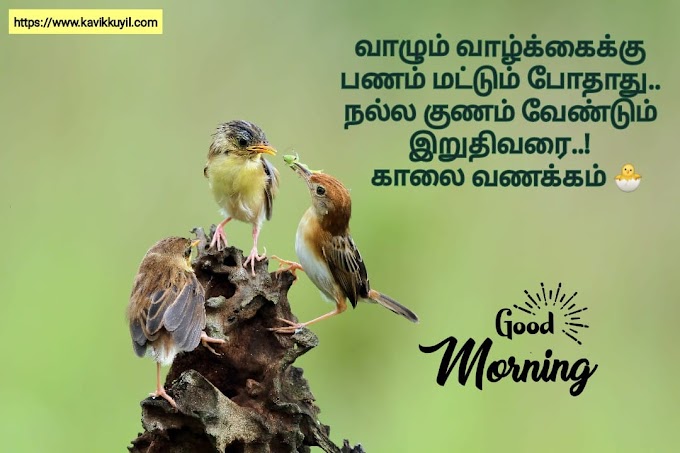 Good Morning Quotes in Tamil || Happy Morning tamil wishes || காலை வணக்கம் வாழ்த்துக்கள் 🌻