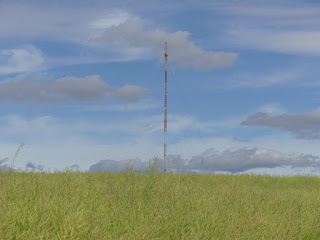 Valgjärve telemast rapsipõllu kohal