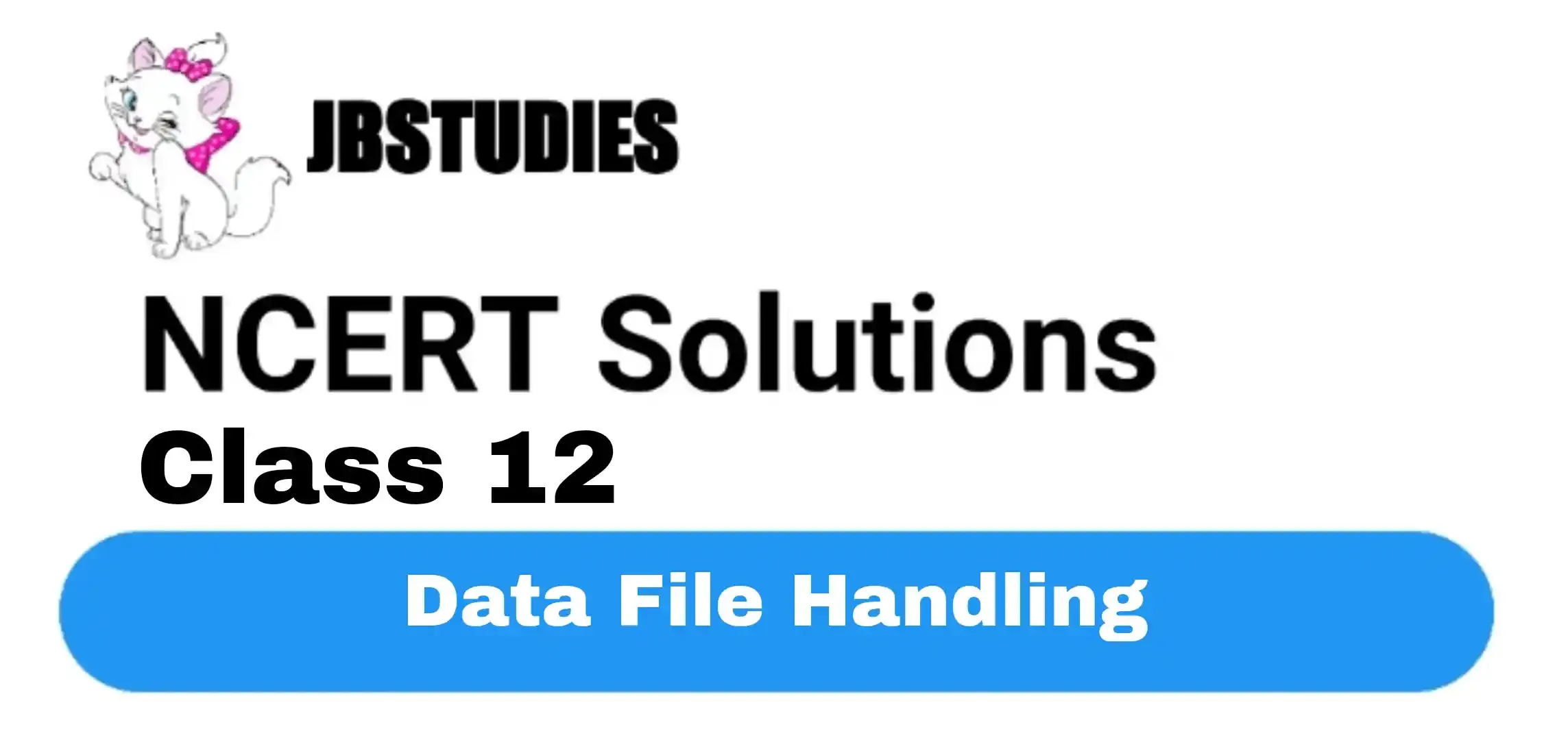 Solutions Class 12 Computer Science (C++) Chapter -6 (Data File Handling)