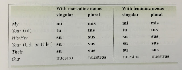 Adjektif Posesif Dalam Spanish