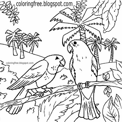 Realistic Australian birds drawing animal wildlife forest colouring in page safari printables parrot