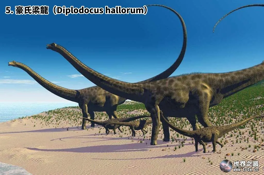 全世界最大的9種蜥腳類恐龍｜超大的恐龍 vs. 超小的你｜Top 9