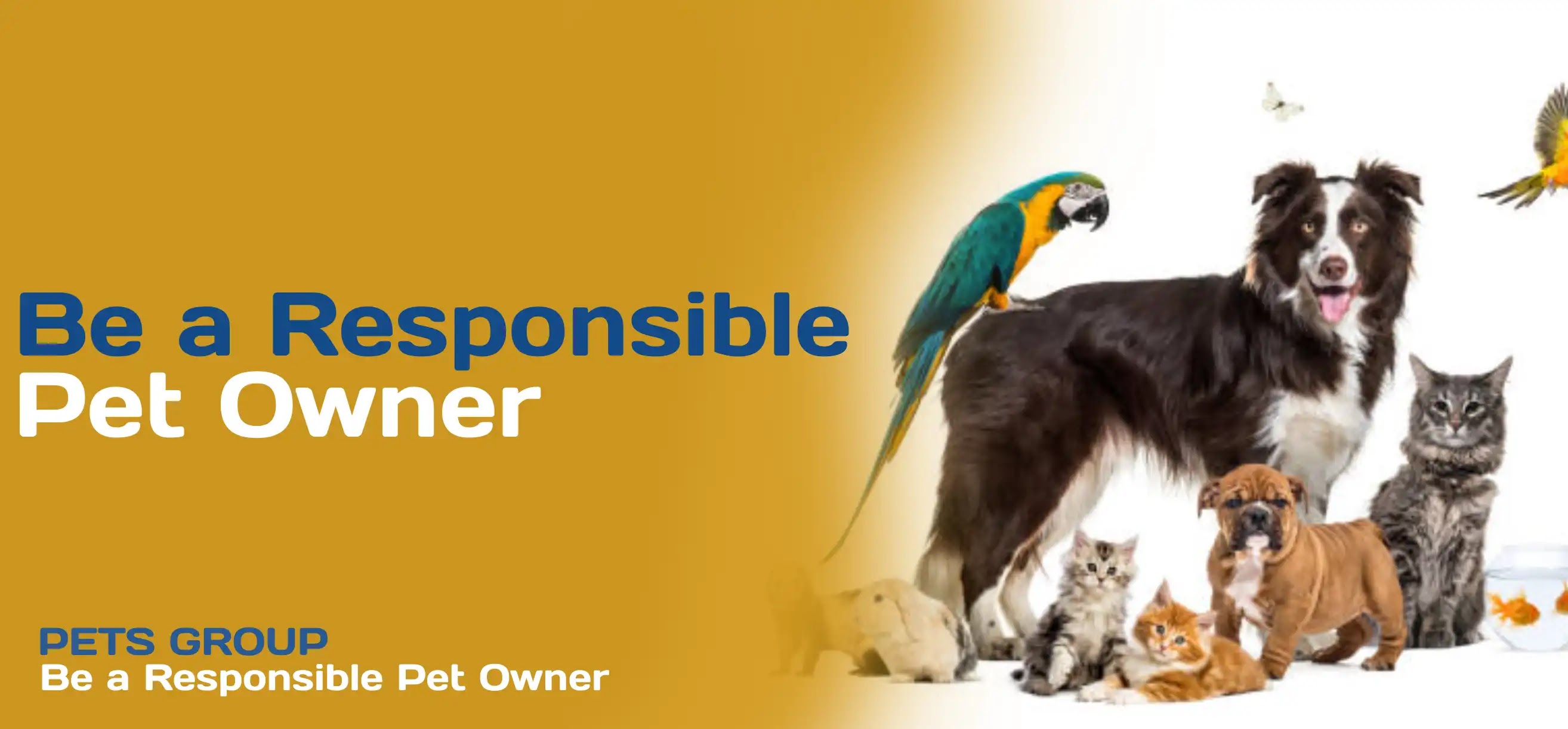 Be a Responsible Pet Owner