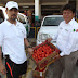 Agricultor Ismael Zapata dona tomate 1 ½ tonelada