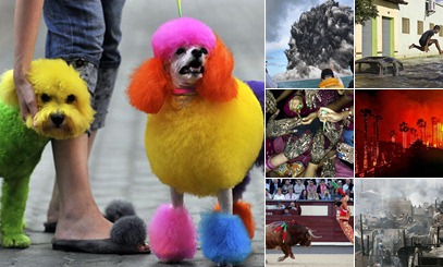 View Best Pictures for Year 2009 from Around the World