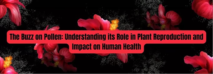 The Buzz on Pollen: Understanding its Role in Plant Reproduction and Impact on Human Health