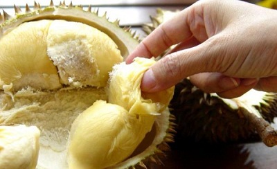 Jenis Durian Lezat yang ada di Indonesia