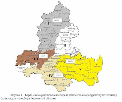 Условия пчеловодства в Ростовской области