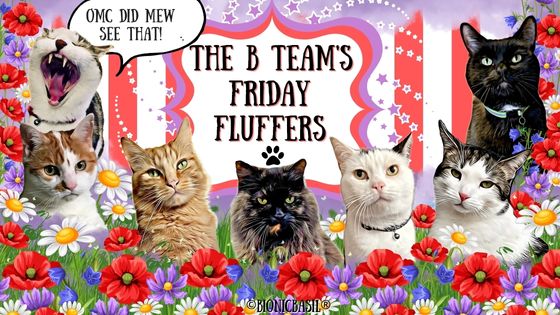 The B Team's Friday Fluffers ©BionicBasil® September Banner