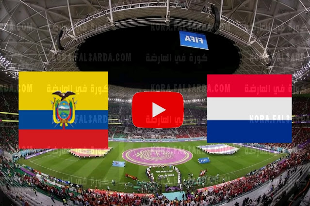 موعد  مباراة هولندا و الإكوادور 25/11/2022 Netherlands vs Ecuador