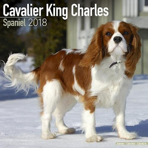 SCArica.™ Cavalier King Charles Libro. di AVONSIDE PUBLISHING LTD