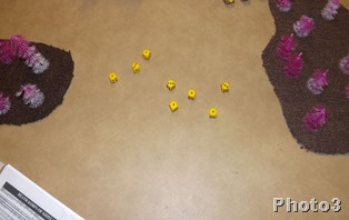DSCF6833