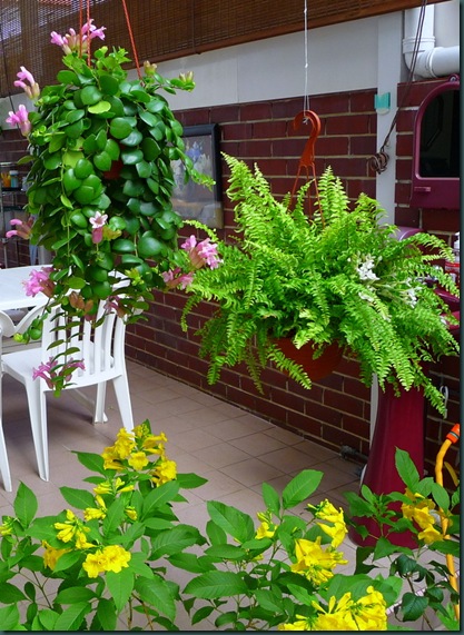 P1100058