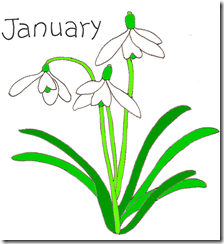 january1