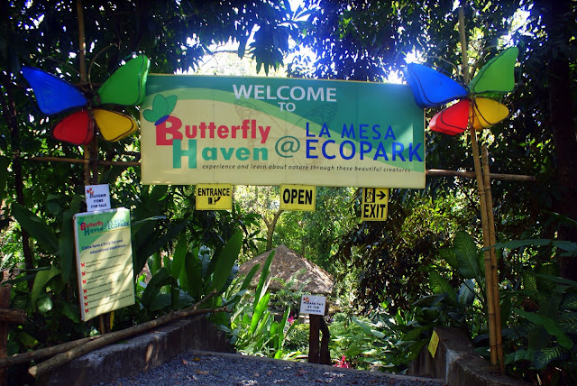 Butterfly Sanctuary, La Mesa Eco Park, Quezon City