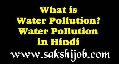 What is Water Pollution? Water Pollution in Hindi
