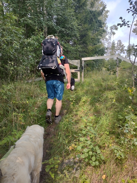 brøgåsen rundt sokna