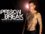 prison break cancelled, prison break canceled, wentworth miller, prison break news