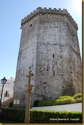 13-DSC_2077
