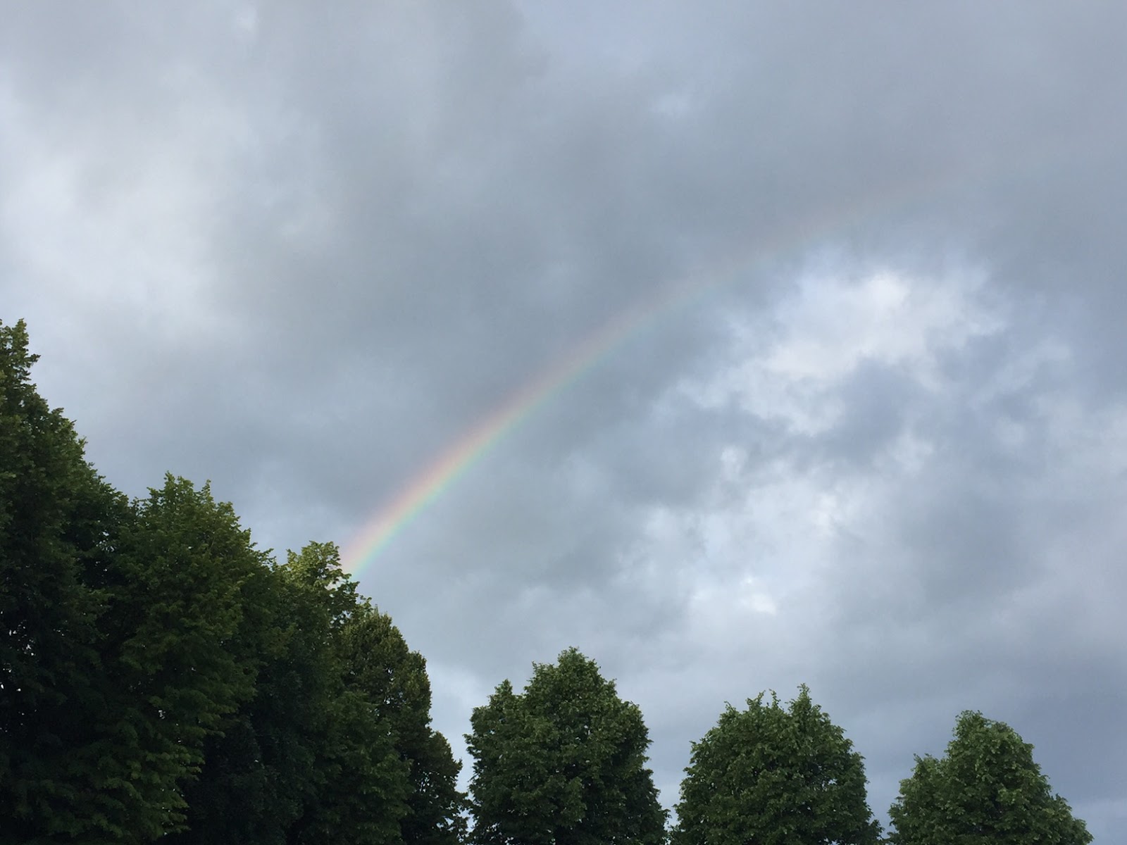 Wie-Regen-in-der-Wüste-NaliriSaga-1