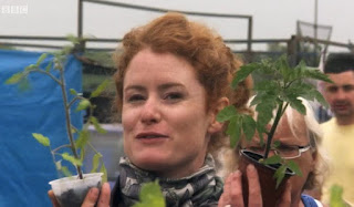 Alys shows tomato plants