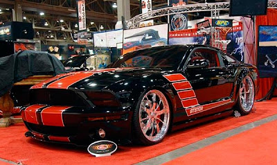 Mustang Aro 24"