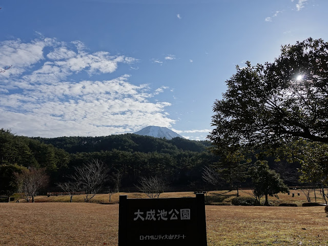 ロイヤルシティ大山の別荘地　大成池