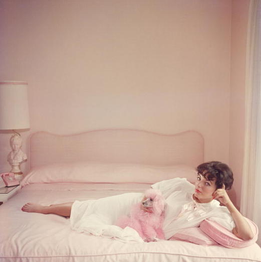 A young Joan Collins in her pink bedroom with her matching pink poodle