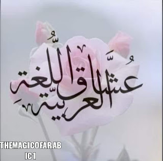 البلاغة / شرح  الكناية في البلاغة .
