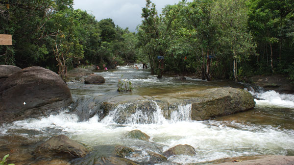 តំបន់អេកូទេសចរណ៍ រមណីយដ្ឋានព្រែកត្នោត ធម្មជាតិដ៏ស្រស់ស្អាតនិងមានជីវចម្រុះ