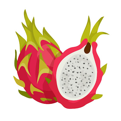 Pencil Sketch and Free Cartoon Images of Dragon Fruit