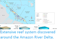 http://sciencythoughts.blogspot.co.uk/2016/05/extensive-reef-system-discovered-around.html