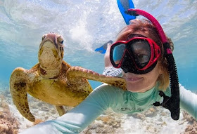 Funny animals of the week - 7 March 2014 (40 pics), turtle takes picture with diver