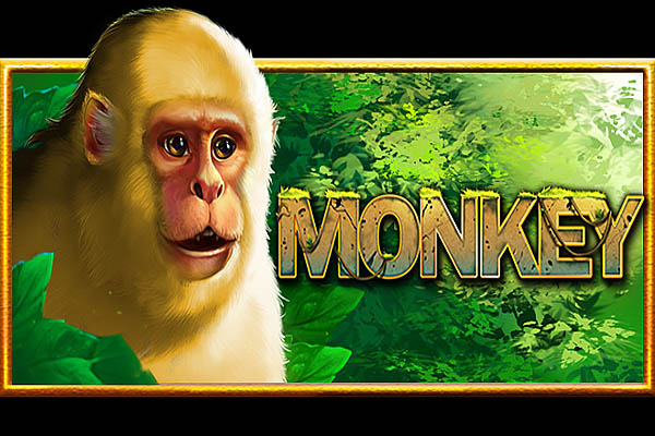 Monkey Slot Demo