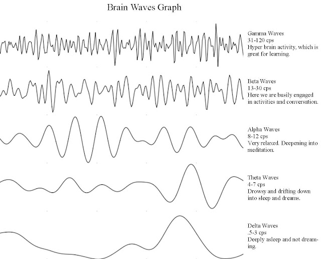 Brain Waves