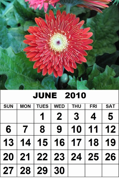 public holidays 2010. Public Holiday 2010