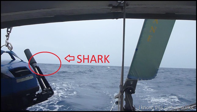 Terrible pic of the shark that bit our tow gen