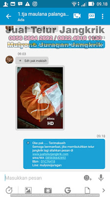 Testimoni 2 Jualan Telur Jangkrik Laris Pelanggan Bahagia